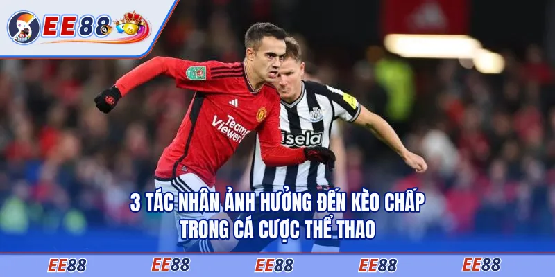 3 Tác Nhân Ảnh Hưởng Đến Kèo Chấp Trong Cá Cược Thể Thao