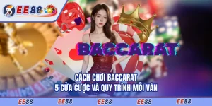Cách Chơi Baccarat - 5 Cửa Cược Và Quy Trình Mỗi Ván