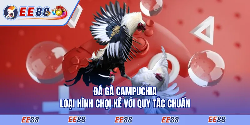 Đá Gà Campuchia - Loại Hình Chọi Kê Với Quy Tắc Chuẩn