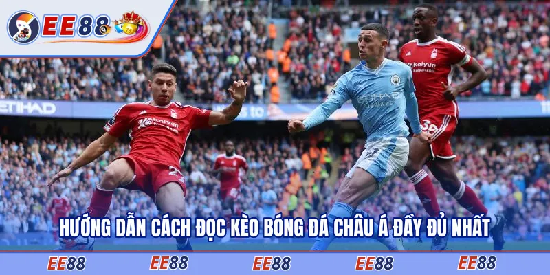 Hướng dẫn cách đọc kèo bóng đá Châu Á đầy đủ nhất