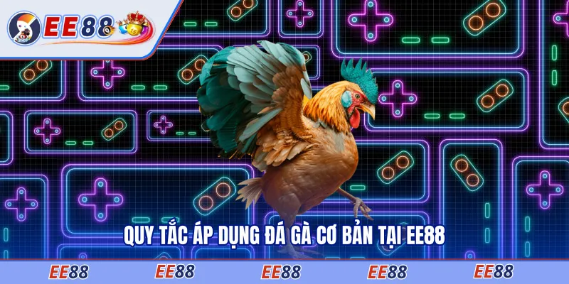 Quy tắc áp dụng đá gà cơ bản tại EE88