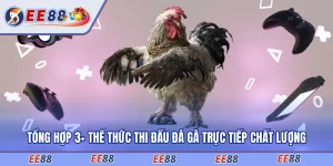Tổng Hợp 3+ Thể Thức Thi Đấu Đá Gà Trực Tiếp Chất Lượng