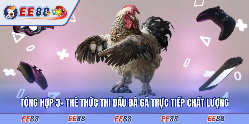 Tổng Hợp 3+ Thể Thức Thi Đấu Đá Gà Trực Tiếp Chất Lượng