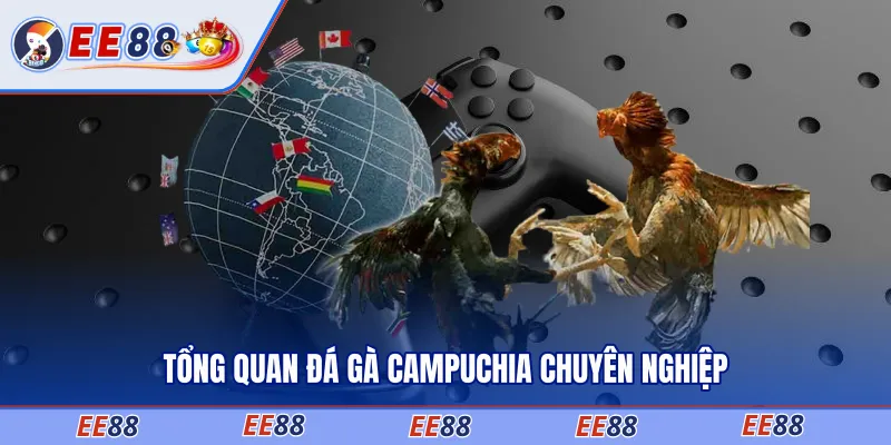 Tổng quan đá gà Campuchia chuyên nghiệp