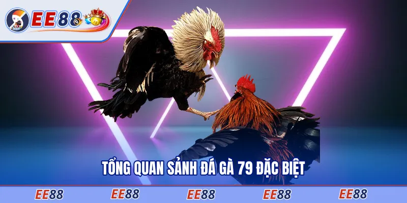 Tổng quan sảnh đá gà 79 đặc biệt